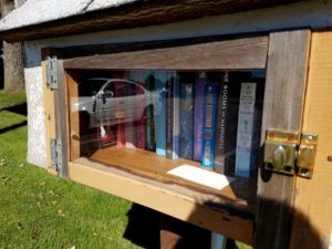 littlelibrary3